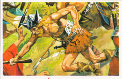 Historische Schlachten Sammelbild Nr. 23