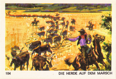 Farwest Sammelbild Nr. 104