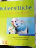 Wellensittiche glücklich & gesund