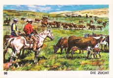 Farwest Sammelbild Nr. 98
