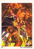 Farwest Sammelbild Nr. 76