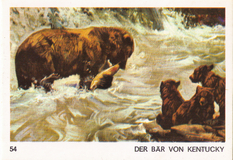 Farwest Sammelbild Nr. 54