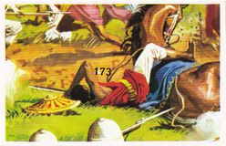 Historische Schlachten Sammelbild Nr. 173